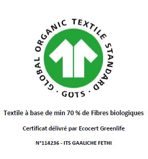 Global Organic Textile Standard GOTS  V 6.0